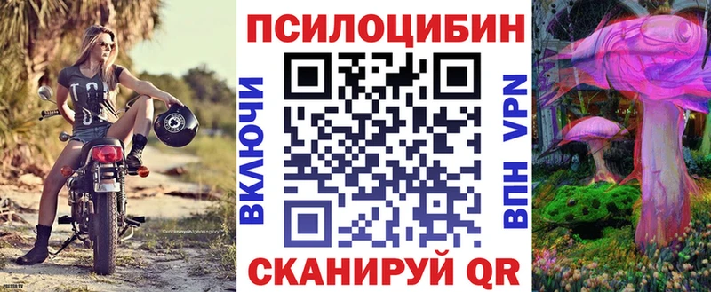 Галлюциногенные грибы Psilocybine cubensis Борисоглебск